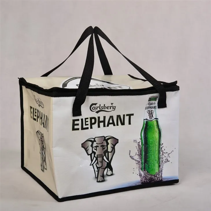 کیسه های کولر کمپینگ