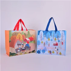 کیسه حمل و نقل بازیافتی