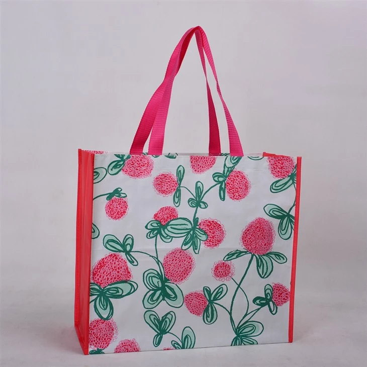 PP Laminated Woven Bag