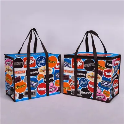 کیف های کولر شخصی